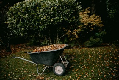 Een rommelige tuin in oktober is eigenlijk goed nieuws