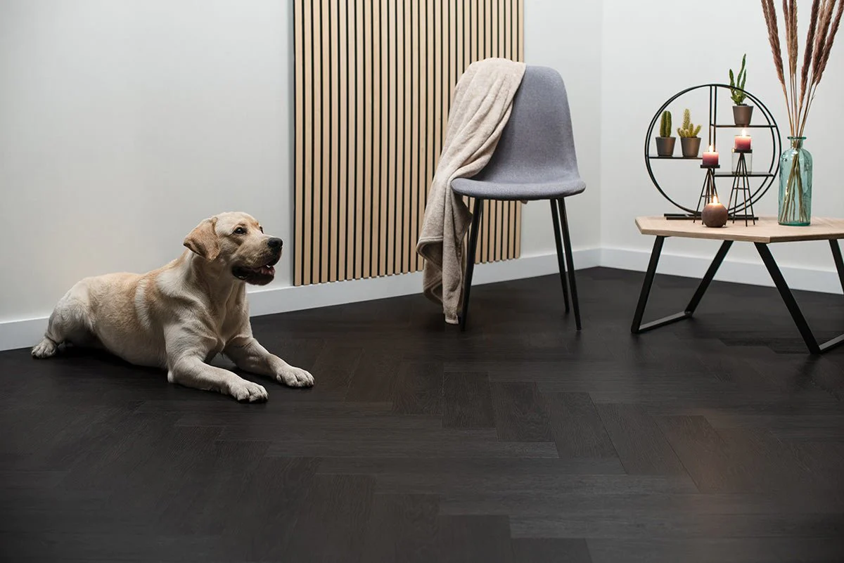 De voordelen van akoestische panelen